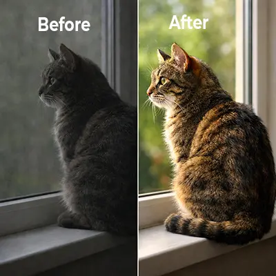 Before and after mobile photo editing of a cat sitting on a window ledge in natural light, showing improved exposure and colour