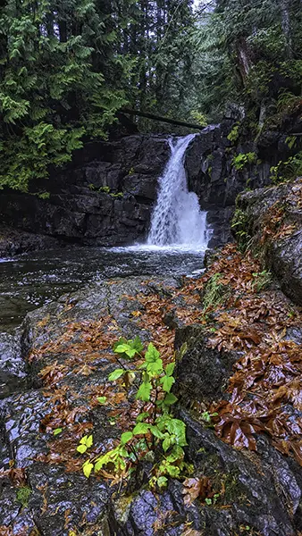 Small waterfall in forest with autumn leaves captured using iPhone Photography