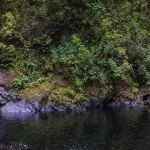 How to take better pics with your phone