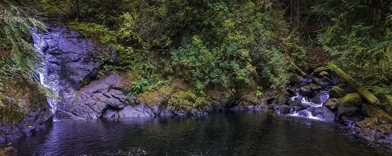 How to take better pics with your phone