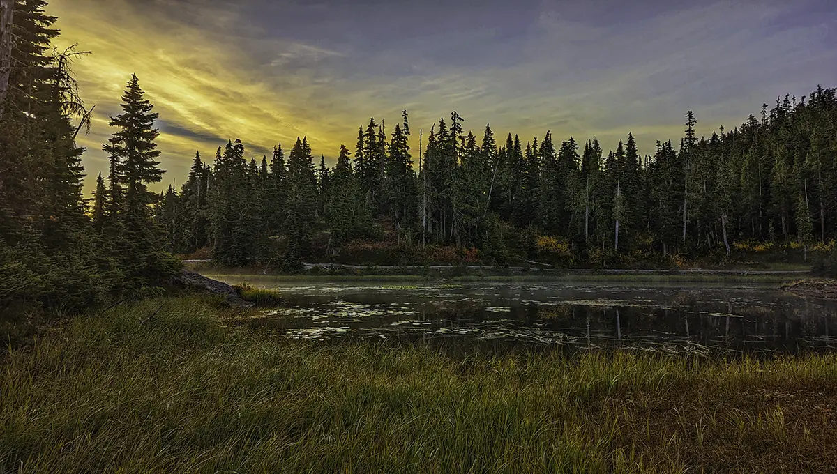 take better photos with your phone