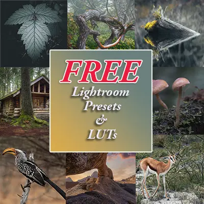 Download your free Preset