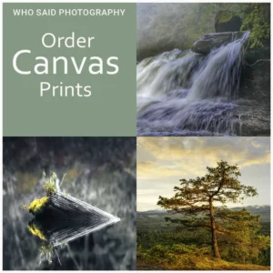 Order Prints Online