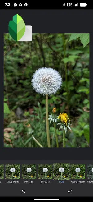 SnapSeed Editing App - photo of the interface