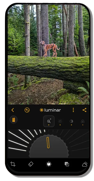 Luminar mobile photo editor shows a dog standing on a mossy forest log.