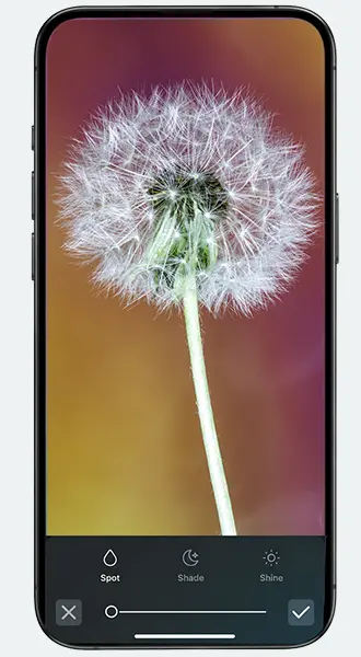 A dandelion photo is open in pixlr photo editor on a smartphone.