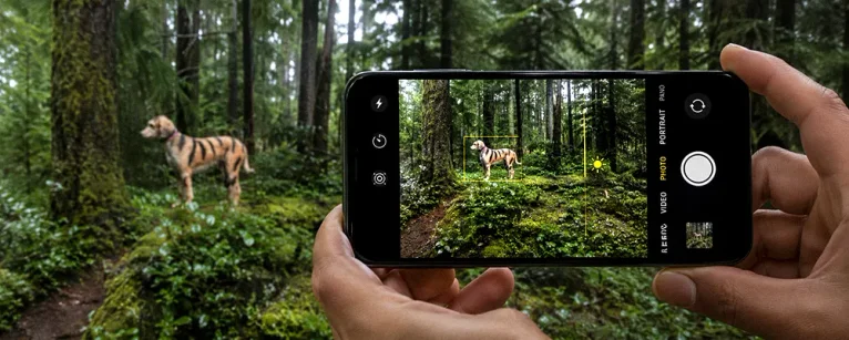 How To Adjust Exposure on iPhone Before You Take the Shot