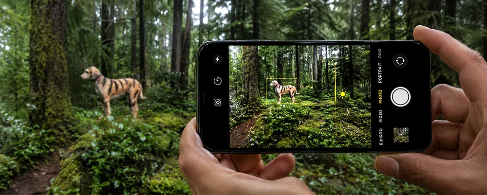 how to adjust exposure on iPhone