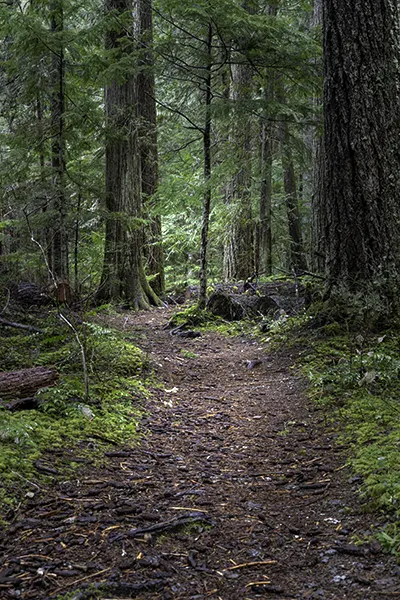 example of using a trail as leading line phone photography