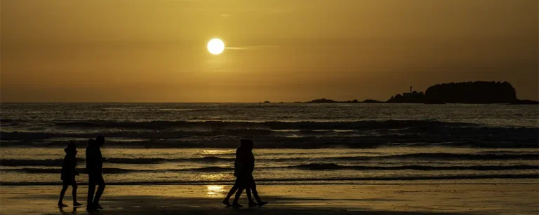 silhouette photos with phone of people walking on a beach